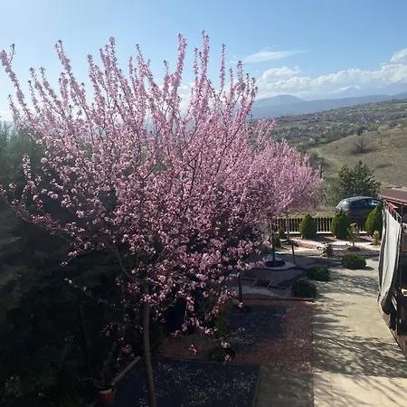 Villa Romantic Mountain 10km To Downtown *